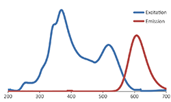 [PS1001] FluoroStain™ Protein Fluorescent Staining Dye (Red, 1,000X), 1 ml x 5