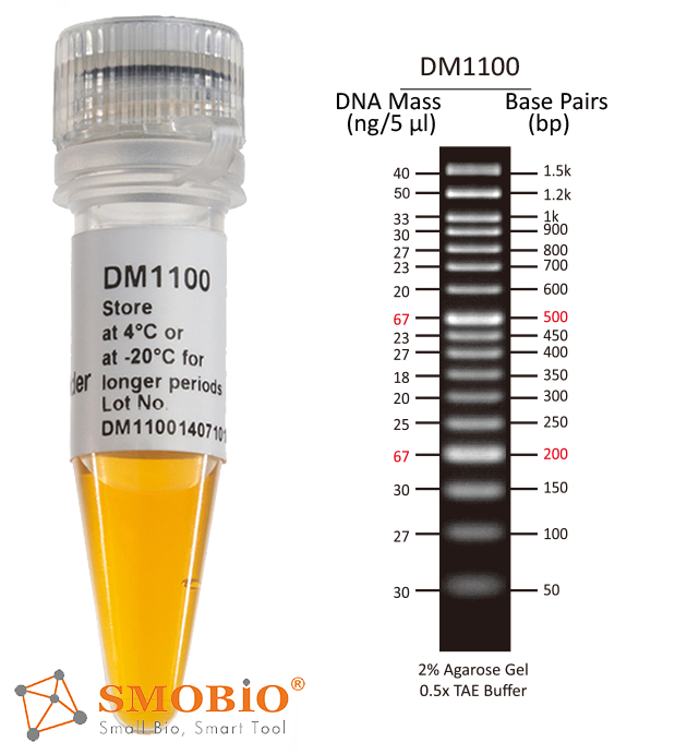 [DM1100] ExcelBand™ 50 bp DNA Ladder, 500 μl