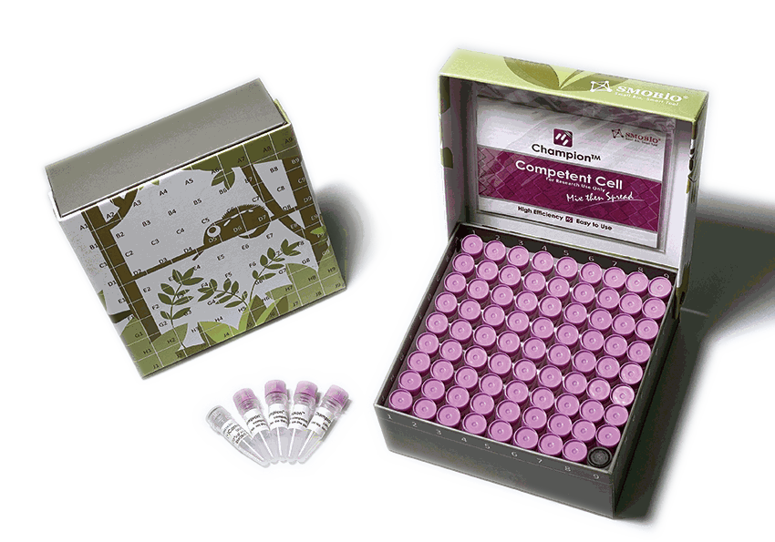 [CC5202] Champion™ DH5α High, 80 tubes (Region Limited)