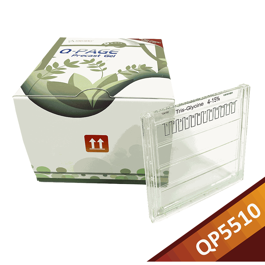 [QP5510] Q-PAGE™ TGN Precast Gel (Midi, 12 wells, 4-15%), 10 gels